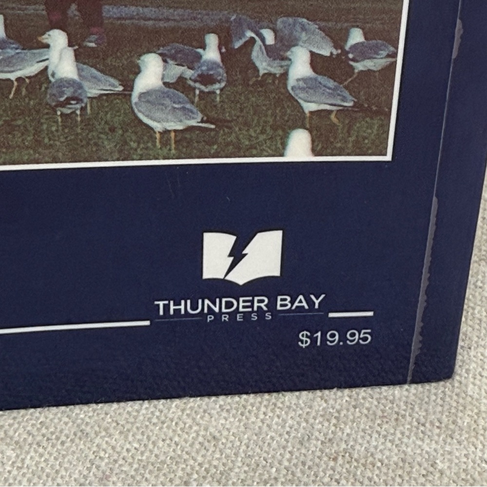 Michigan Lighthouses Guidebook - A Traveler’s Guide to 116 Michigan Lighthouses - Picture 3 of 16